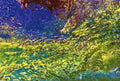Aquarium - Acrylic Photo Print