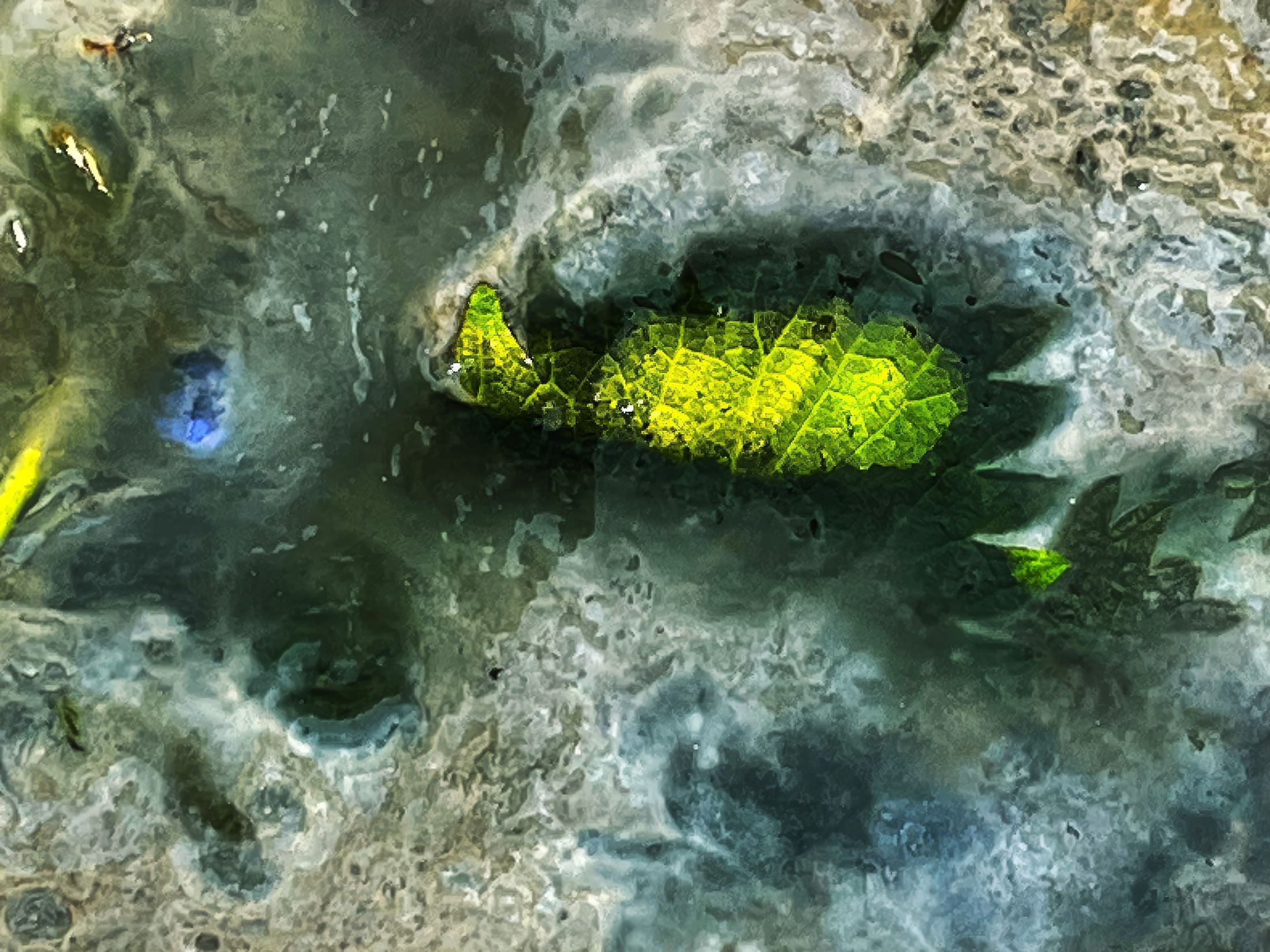Green Island – Acrylic Photo Print
